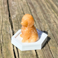 Retriever - Small - Crystal Carving