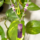 Auralite Amethyst Pillar Pendant Necklace with Snake Vertebrae and Amethyst Beads