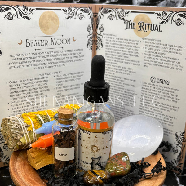 11 Full Moon Box Set - November - Beaver Moon Box Set