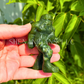 Big Foot is Real - Serpantine - Crystal Carving