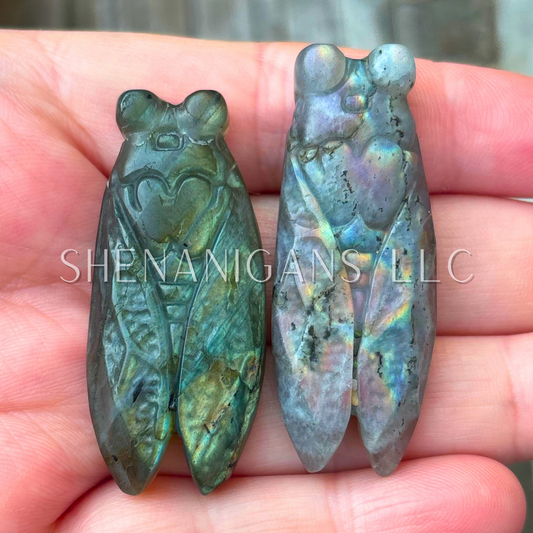 Cicada Flat Carving