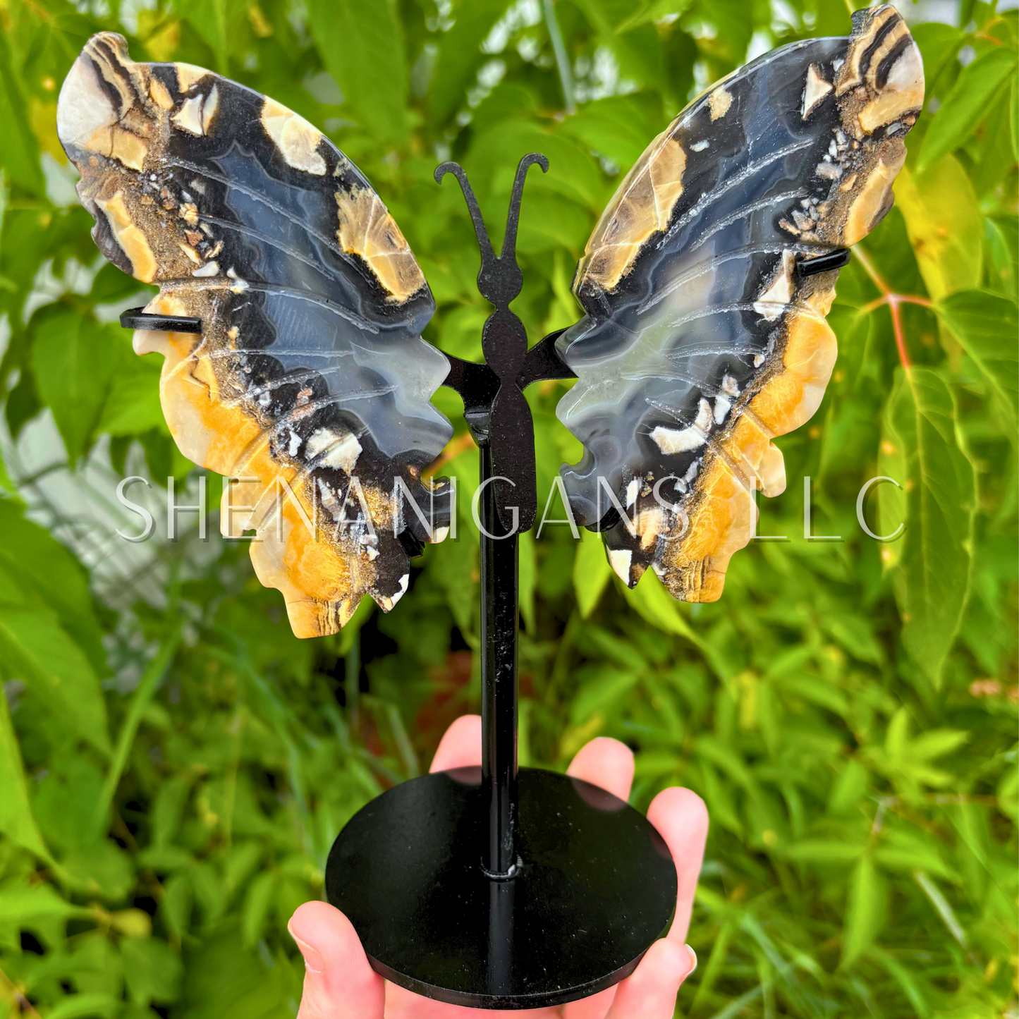 Volcano Agate Butterfly Wings on Stand Crystal Carving