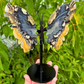 Volcano Agate Butterfly Wings on Stand Crystal Carving
