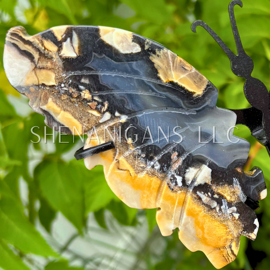 Volcano Agate Butterfly Wings on Stand Crystal Carving