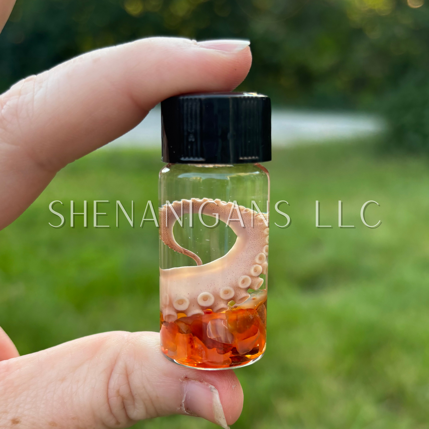 Tentacle Wet Specimen with Crystal Chips - Oddity Curiosity Jar