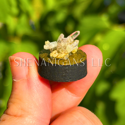 Vera Cruz Amethyst Raw Specimen