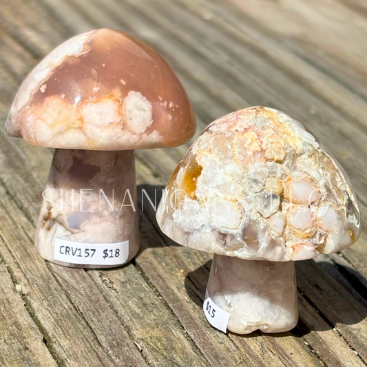 Druzy Flower Agate Mushroom - Crystal Carving