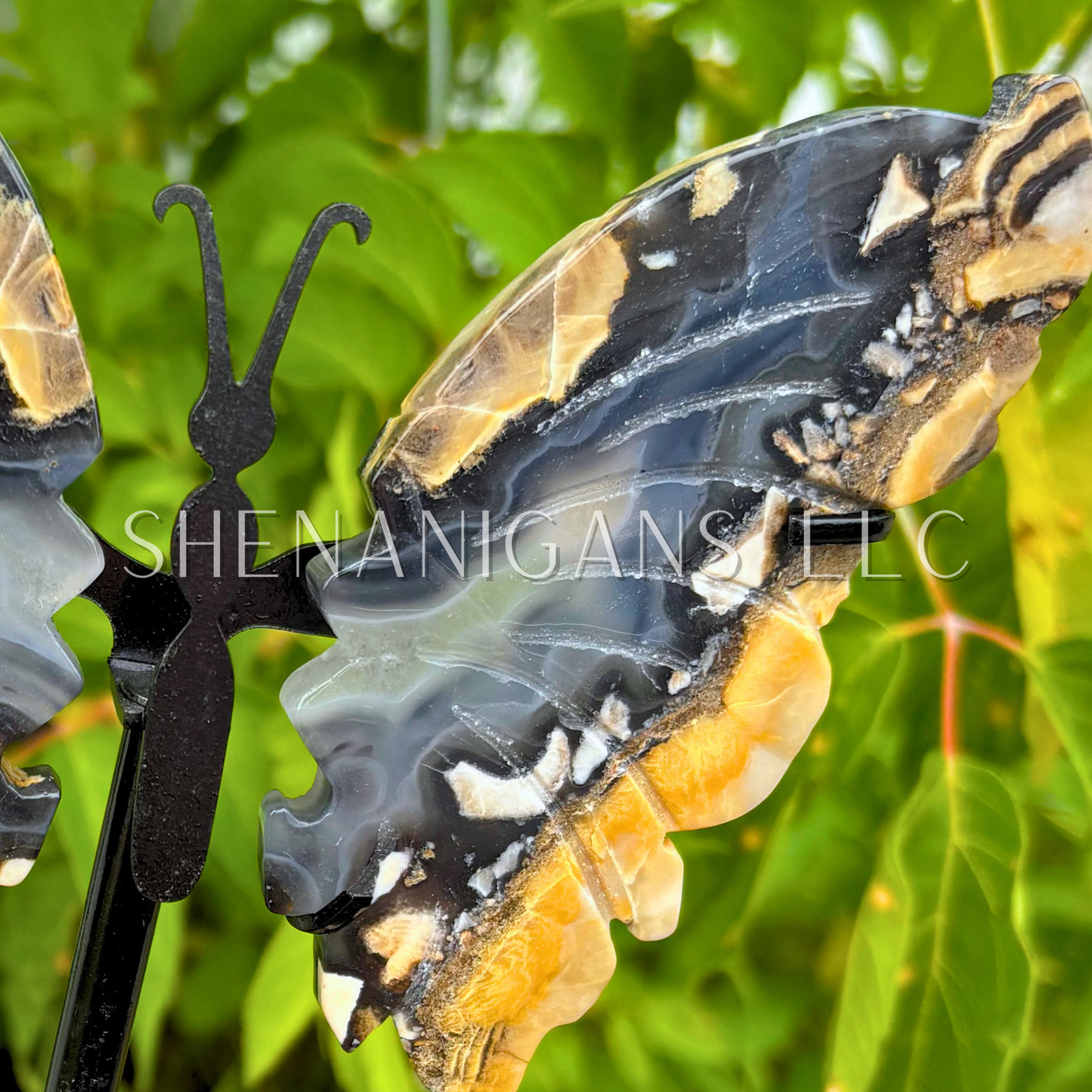 Volcano Agate Butterfly Wings on Stand Crystal Carving