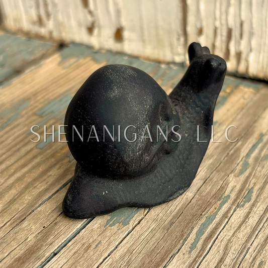 Skull Shell Snail