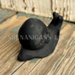 Skull Shell Snail