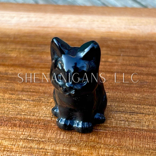 Sitting Cat