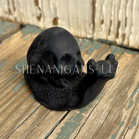 Skull Shell Snail