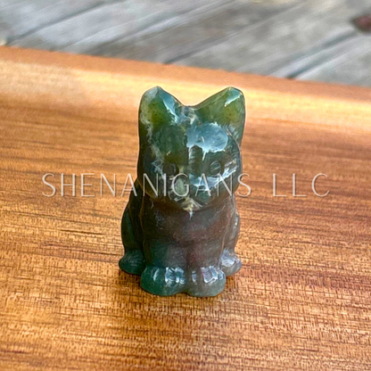 Sitting Cat