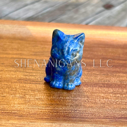 Sitting Cat