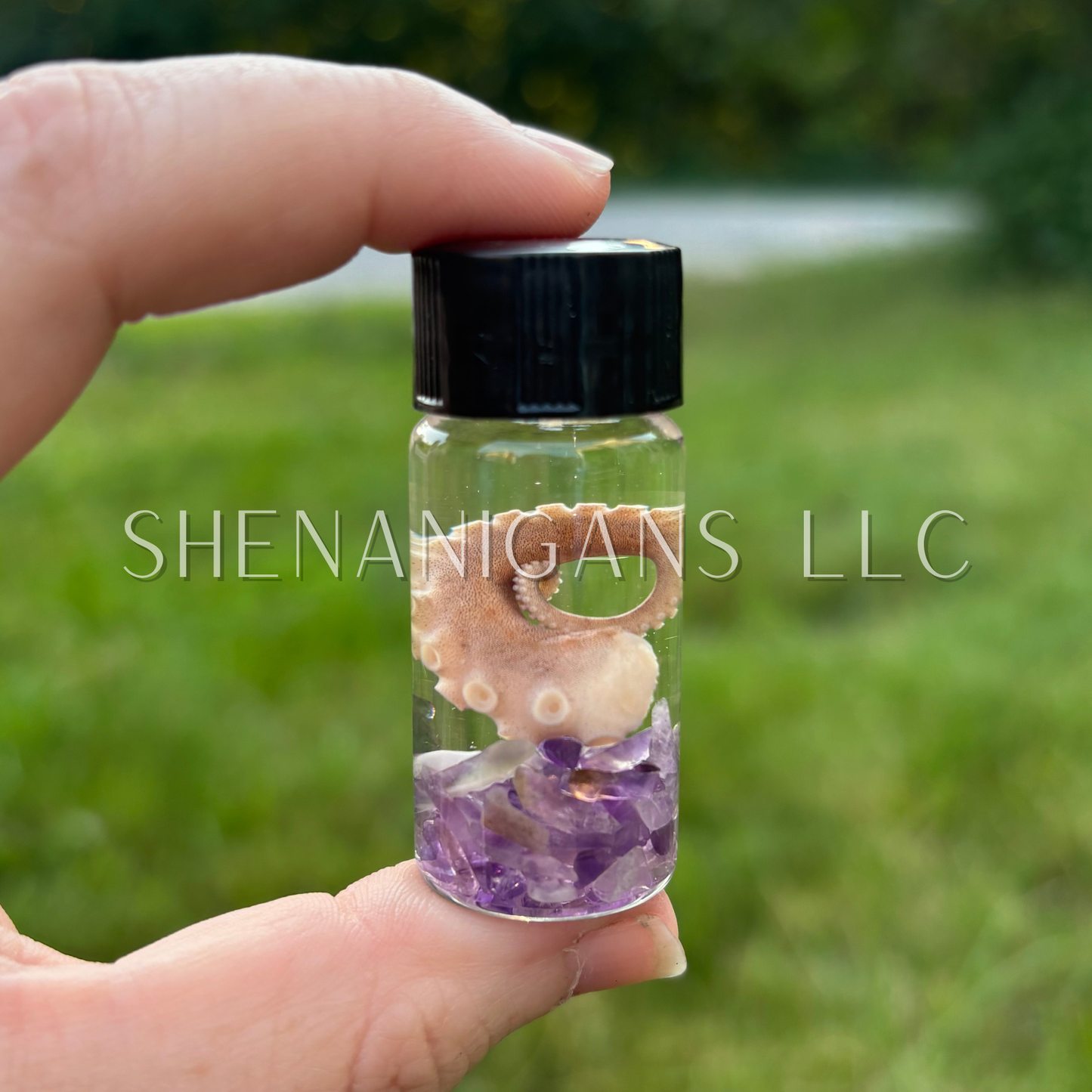 Tentacle Wet Specimen with Crystal Chips - Oddity Curiosity Jar