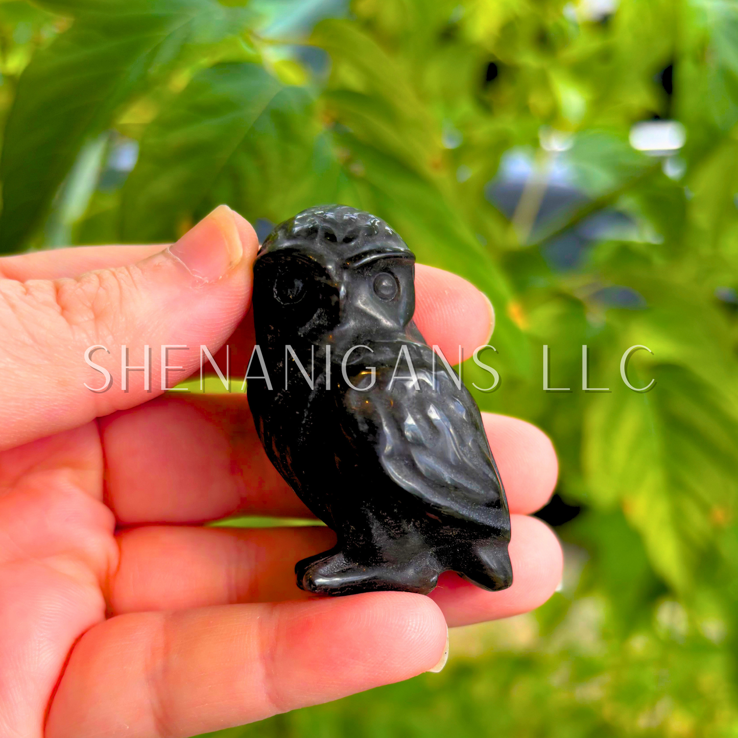 Owl Carving