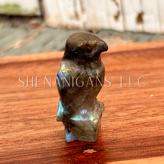 Eagle Carving