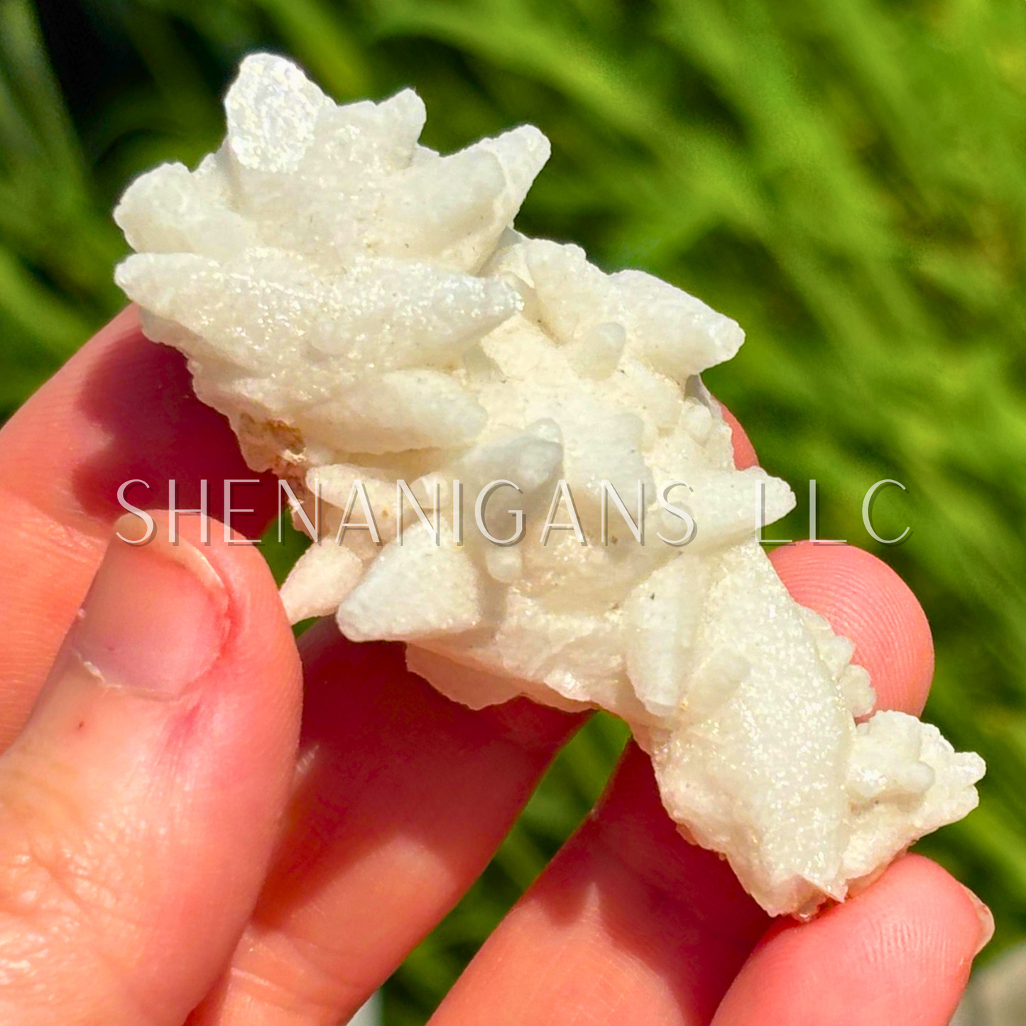 Aragonite Raw Specimen - White
