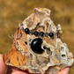 Obsidian Moon Necklace – Crystal Carving with Beads