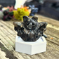 Cute Bat - Small - Crystal Carving