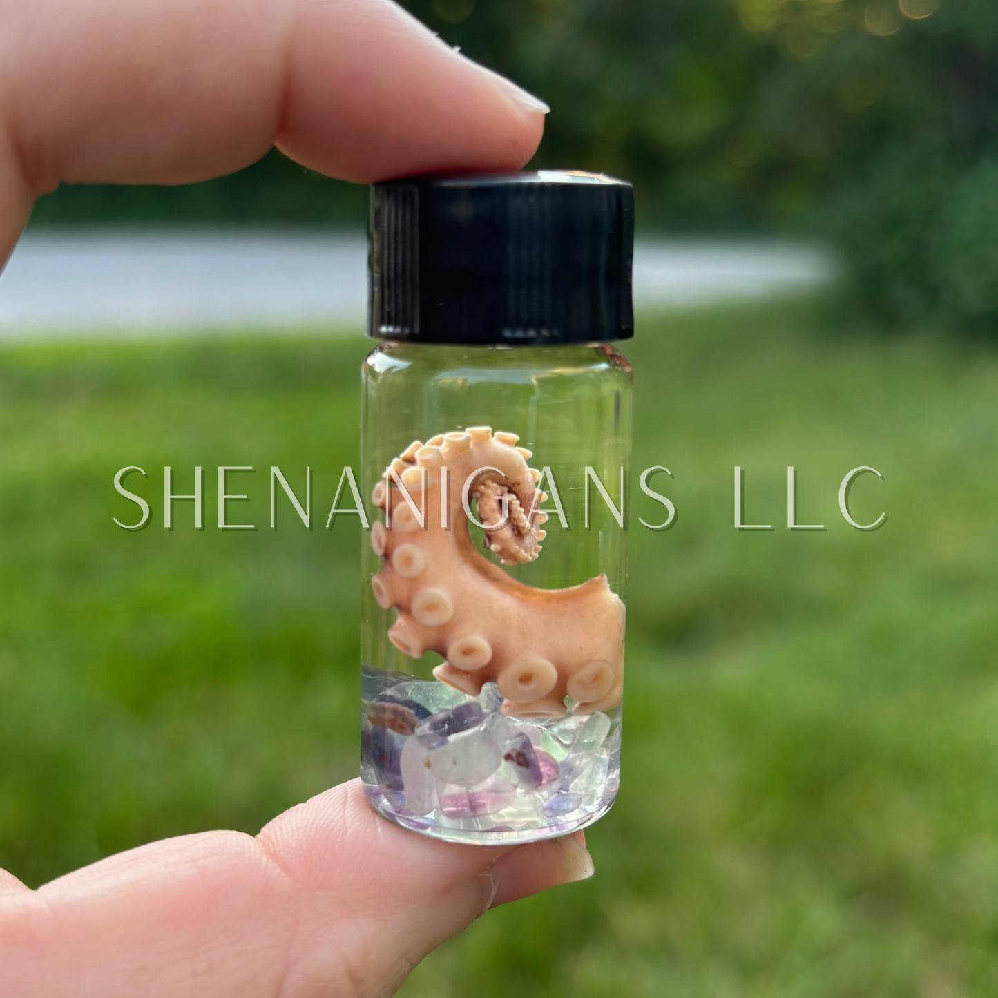 Tentacle Wet Specimen with Crystal Chips - Oddity Curiosity Jar