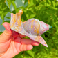 Ocean Jasper Snail Carving
