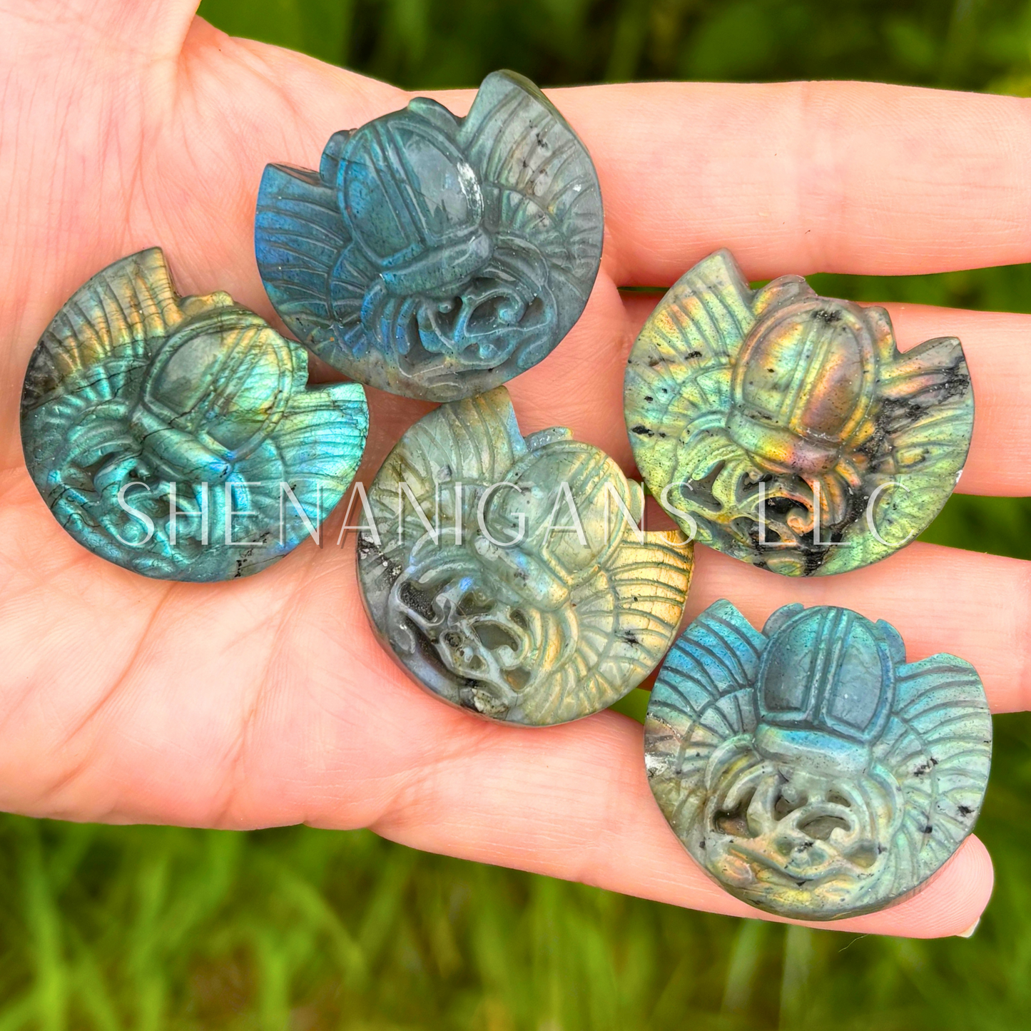Scarab Labradorite Flat Carving