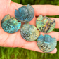 Scarab Labradorite Flat Carving