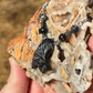 Spiderweb Jasper Hanging Fruit Bat Necklace with Spiderweb Jasper Beads