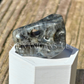 T-Rex Skull - Mini - Crystal Carving