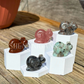 Cute Snail - Small - Crystal Carving