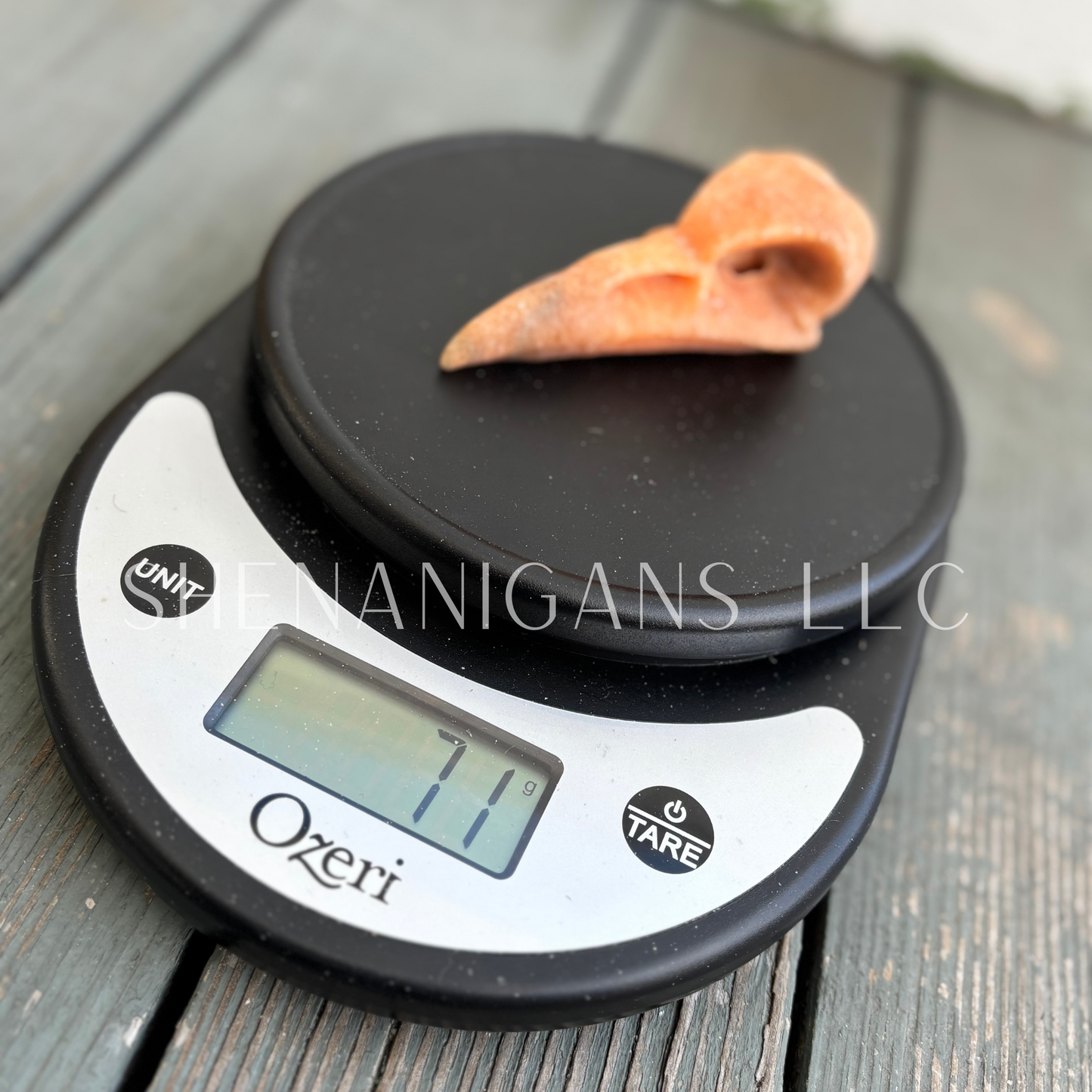 Raven Skull - Orange Calcite - Crystal Carving