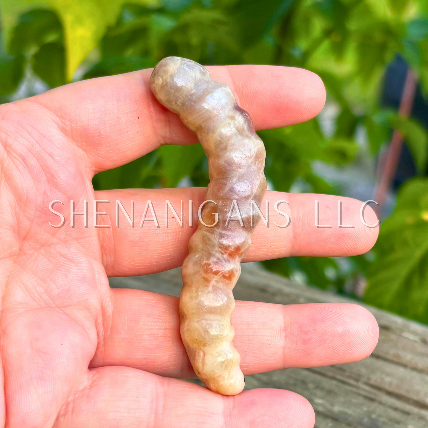 Worm Carving
