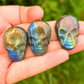Skull - Small Labradorite Flat Carving