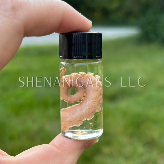 Tentacle Wet Specimen with Crystal Chips - Oddity Curiosity Jar