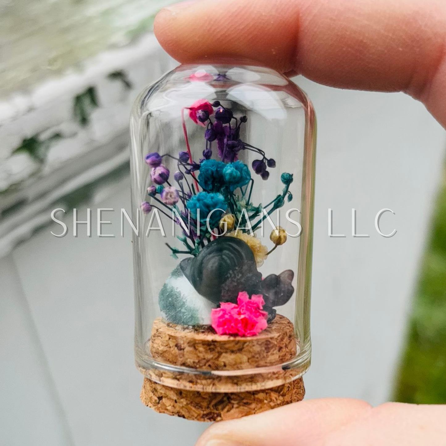 Blue Flourite Snail on Raw Tree Agate 2.25" Dome Jar