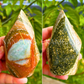 Ocean Jasper Flame