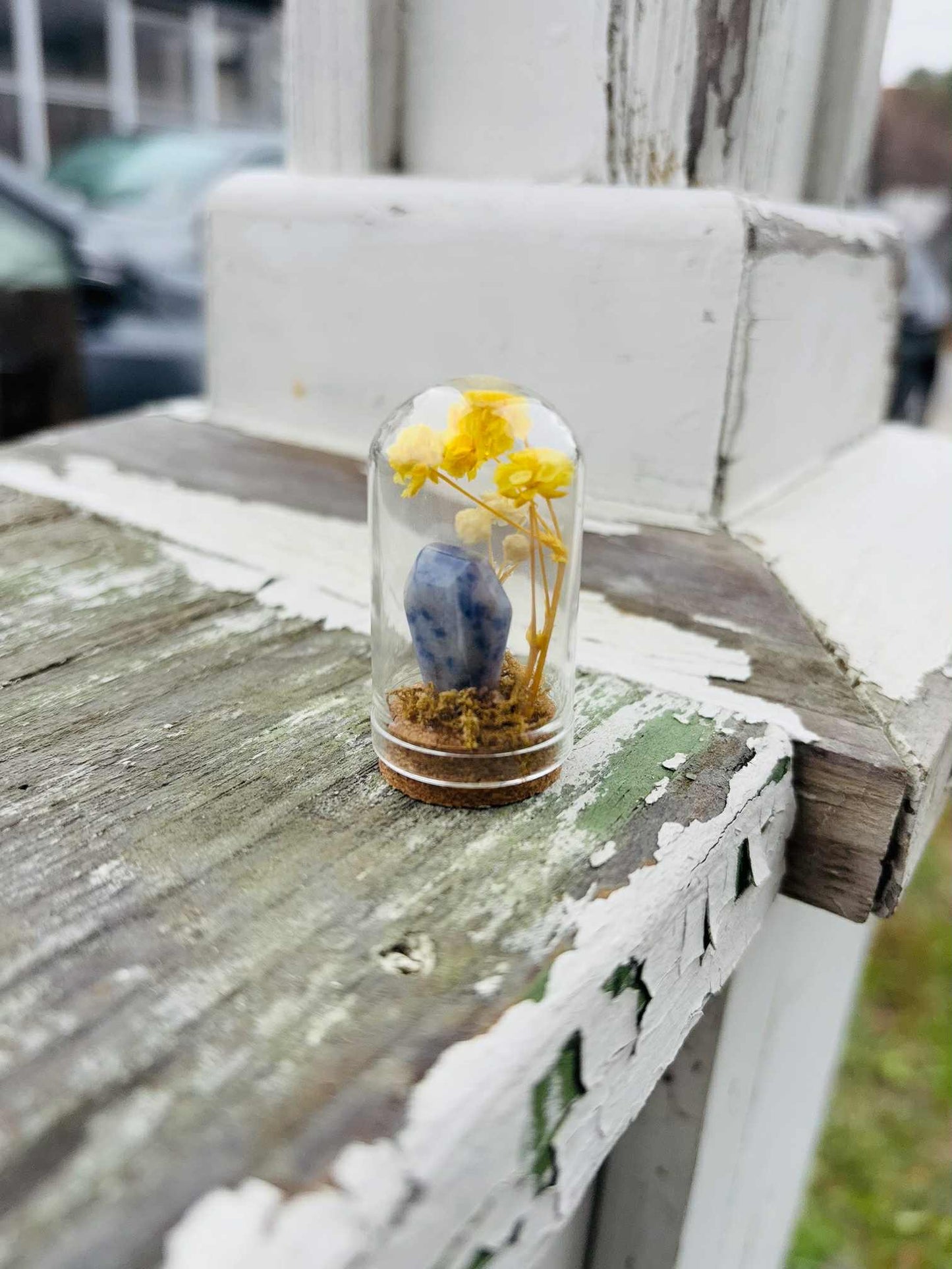 Coffin 1.75" Dome Jar