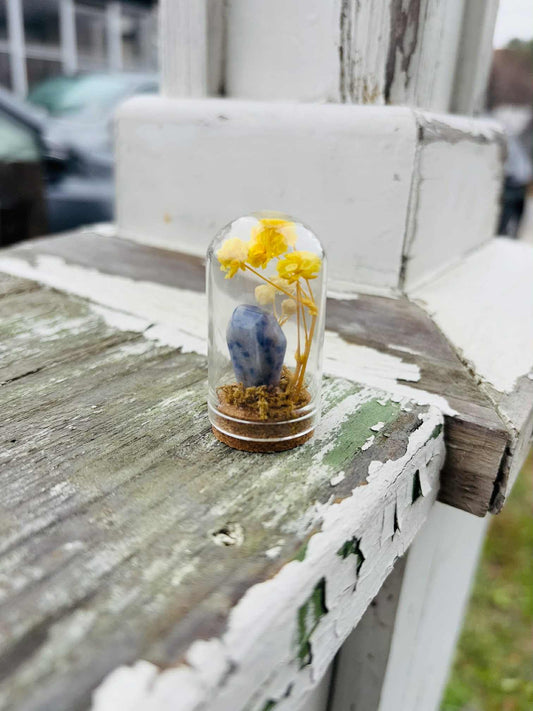 Coffin 1.75" Dome Jar