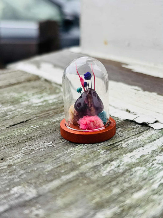 Purple Flourite Mushroom 1.25" Dome Jar