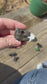 T-Rex Skull - Mini - Crystal Carving