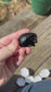 Hedge Hog - Small - Crystal Carving