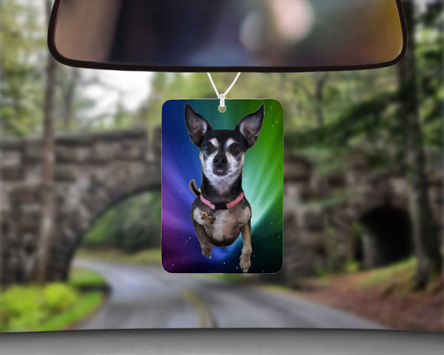 Custom Pet Photo Scentless Airfreshener